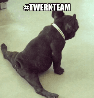 10 Hilarious Nerdy Twerk S Of All Time No Miley Cyrus Here 